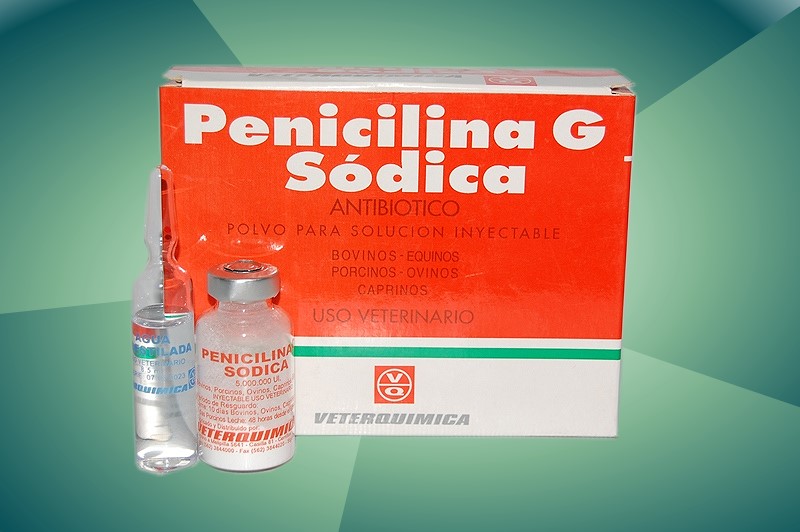 penicilina pentru infectii urinare