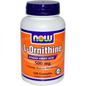 L-Ornitina