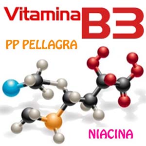 Vitamina B3 PP Niacina