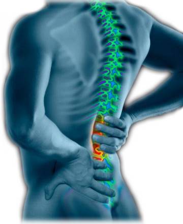 dureri de spate reumatice tratamentul osteocondrozei coloanei lombare preparate medicamentoase
