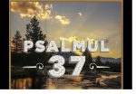 Psalmul 37