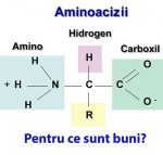 aminoacizi