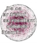 Celulele Stem